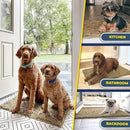 Muddy Mat® 4-Piece Beige Medium 30"X19" AS-SEEN-ON-TV Highly Absorbent Microfiber Door Mat, Bath Mat and Pet Rug, Non slip Thick Washable, Soft Chenille for Kitchen Bathroom Bedroom Indoor and Outdoor by CozyNest Decor
