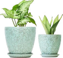 8 Inch + 6 Inch Plant Pots for Indoor Plants, Ceramic Planter with Drainage Hole and Saucers, Garden Pots for Succulent, Orchid, and Flower, Set of 2 by CozyNest Decor