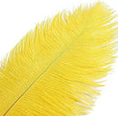 THARAHT Yellow Ostrich Feathers 12pcs Large Natural Bulk 16-18Inch 40cm-45cm for Wedding Party Centerpieces Easter Gatsbi and Home Decoration Feathers by CozyNest Decor