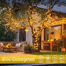 JMEXSUSS 2 Pack Solar String Lights Outdoor Waterproof, Each 33 FT 100 LED Solar Tree Lights Outdoor for Outside Tree Christmas Garden Patio Decor（Warm White） by GreenHaven Gardens