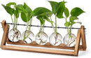 YIBOT Propagation Stations,Plant Terrarium with Wooden Stand,Plant Lover Gifts for Women for Hydroponics Plants Home Garden Wedding Decor(5 Bulb Vase) by CozyNest Decor