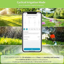 WiFi Sprinkler Timer 2 Zone, Diivoo Smart Water Timer for Garden Hose, Wireless Remote Control Irrigation System with Wi-Fi Hub, Rain Delay and Manual Watering, Leakproof for Yard Lawn Watering by GreenHaven Gardens