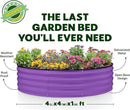 Round Galvanized Raised Garden Bed // 4×4×1 ft Galvanized Raised Garden Beds Outdoor for Gardening, Vegetables, Flowers // Patented Tool-Free Design Round Planter (Purple) by GreenHaven Gardens