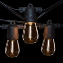 Hometown Evolution, Inc. 100' E26 Commercial LED Outdoor String Lights (100 Foot 50 Socket, S14 LED Filament 1 Watt Light Bulbs) by GreenHaven Gardens