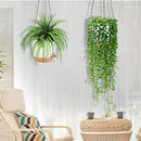 GARDIFE Hanging Planter, 8 inch Hanging planters for Indoor. Outdoor Plants, Self Watering Plant Pot, 2 Pack Large self Watering Hanging Planter (8-White, 8 inch) by CozyNest Decor