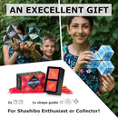 SHASHIBO Shape Shifting Box - Award-Winning, Patented Fidget Cube w/ 36 Rare Earth Magnets - Transforms Into Over 70 Shapes, Gift Box, Download Fun in Motion Toys Mobile App (Optical Illusion, 2 pack) by TinyTreasures Baby Boutique