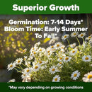 HOME GROWN 𝗨𝗦𝗔 𝗣𝗥𝗘𝗠𝗜𝗨𝗠 German Chamomile Seed Pack – 2,280 𝗡𝗢𝗡-𝗚𝗠𝗢 Heirloom Seeds for Planting for Sustainable Gardens and Soothing Medicinal Herbal Teas (Matricaria chamomilla) by GreenHaven Gardens