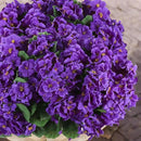 Hananona 12 Pcs Artificial Geranium Flowers for Outdoors Silk Purple Geranium Flowers Outdoor UV Resistant Plants Faux Flower for Home Kitchen Table Centerpieces Front Door Patio Decor (12, Purple) by CozyNest Decor