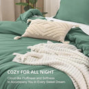 Litanika Comforters Queen Size Haze Green, 3 Pieces Lightweight Solid Bedding Set & Collections, All Season Fluffy Bed Set (90x90 Inches Comforter & 2 Pillowcases) by CozyNest Decor