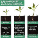 20-20-20 Water-Soluble Fertilizer – Powder for Liquid Plant Food for Indoor & Outdoor Plants, Orchids, Vegetables, Lawns, Flowers – 20 20 20 Fertilizer (10 QUARTS) by GreenHaven Gardens