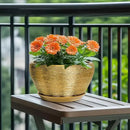 Ceramic Planter 11 Inch - Indoor Plant Pot with Drainage Hole and Saucer Large Planter for Outdoor Plants Mid-Century Decorative Flower Pot for Home Decor Gold by GreenHaven Gardens