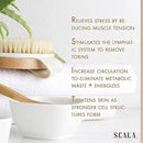 Dry Brushing Body Brush SCALA Natural Bristle Body Brush, Soft Body Exfoliating Brush Scrub for Dead Skin, Cellulite, Lymphatic Drainage, Blood Flow – Thicker & Stronger Medium Strength by CozyNest Decor