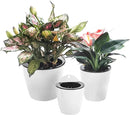 3 Pack Self Watering Wall Hanging Planter Pots Vertical Garden Window Hang Mount Indoor Outdoor Plant Flower Basket for Kitchen Herbs Balcony Railing Shelf Fence Bedroom Trellis Decor Modern White Box by CozyNest Decor