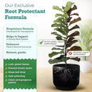Root Supplement, Liquid Root Stimulator - for Fiddle Leaf Fig & Indoor Plants - Propagation Promoter, Root Rot Treatment - Food for Healthy Roots, Stems, & Leaves - 8 Oz by GreenHaven Gardens