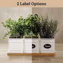 Herb Planter Indoor - 3 Iron Herb Pots with Drainage Holes, Varnished Bamboo Tray, Customizable Labels & Marker Pen - Indoor Herb Garden Planter - 3 Pots for Herbs - Inside Spice Garden - Basil Pot by GreenHaven Gardens