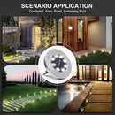 pozzolanas 16 Packs Solar Ground Lights-Cold White, 8 LED Solar Garden Lights Waterproof Outdoor Landscape Lights for Lawn Pathway Yard Driveway by GreenHaven Gardens