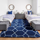ONASAR Area Rugs for Bedroom Living Room, Washable 4x6 Fluffy Navy Blue and White Throw Rug for Home Decor, Geometric Soft Shaggy Plush Floor Carpet for Kids Girls Boys Teen Nursery Dorm Office by TinyTreasures Baby Boutique