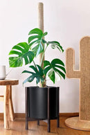 D'vine Dev Planter Pot with Stand - 12 Inch Plastic Cylinder Flower Pot with Wood Planter Holder for Indoor, Matte Black Pot + Walnut Color Stand, 55-C-O-2 by GreenHaven Gardens