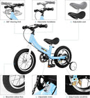 Balance Bike 2 in 1,The Dual Use of a Kids Balance Bike and Toddler Bike, for 2 3 4 5 6 7 Years Old -12 14 16 Inches with Training Theory, Brake, Pedal by TinyTreasures Baby Boutique
