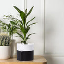 Phoenix Vine 6.5 Inch Self-Watering Planter Pot with Terracotta Insert, Deep Water Reservoir, and Ceramic-Alike BPA-Free Plastic Pot for Plant, Modern Planter for Houseplants, Black/White, 53-C-S-7 by GreenHaven Gardens