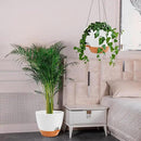 GARDIFE Large Hanging Planter, 12 inch Hanging planters for Indoor. Outdoor Plants, Self Watering Plant Pot, Plant Hanger, White by CozyNest Decor