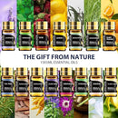 SACATR Essential Oil Diffusers for Home with 15 Oil Diffuser Sets, 500ml Aroma Diffuser for Essential Oils Large Room, Ultrasonic Cool Mist Diffuser Auto Shut-Off 4 Timers 15 Colors (15x5mL) by CozyNest Decor