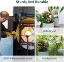 6.4 oz Medium Plant Self Watering Globes, Light Iridescent Glass Water Bulbs for Indoor Plants, Vacation Watering System, Self-Watering Stakes, Automatic Plant Waterer, 4 Pack by GreenHaven Gardens