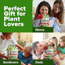 HOME GROWN 5 Herb Seeds for Planting 2,150+ Non-GMO Heirloom Seeds | Extra Large Variety Pack Herb Kit – Indoor Outdoor & Hydroponic | Culinary Seed Set | Grow Your Own Herbs | Gift for Beginners by GreenHaven Gardens