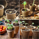 JERIA 200-Pack 3.15 Inch Peat Pots for Seedling with 200 Pcs Plant Labels,Outdoor Garden Germination Nursery Pots,Biodegradable Seed Starter Pots Kits by GreenHaven Gardens