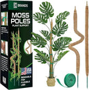 2 Pack 28'' Bendable Moss Pole Monstera Plant Support for Climbing Indoor Plants - Stakes for Potted Climbers - Tall Sticks Indoor Trellis for Houseplants - Accessories for Monstera Pot by GreenHaven Gardens