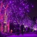DAZZLE BRIGHT Halloween 300 LED String Lights, 100FT Connectable String Lights with 8 Lighting Modes, Halloween Decorations for Party Carnival Supplies, Indoor Outdoor Yard Garden Decor (Purple) by CozyNest Decor