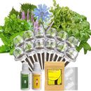 inbloom Herb Seed Pod Kit for AeroGarden, iDOO, Ahopegarden, MUFGA Hydroponic Growing System Indoor Garden, 12-Pod, 350+ Seeds Included Basil, Mint, Cilantro, Parsley, Shiso, Chicory, Liquorice by GreenHaven Gardens