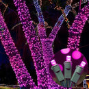 100 Count Pink - 21.6FT LED String Lights, Mini LED Lights for Indoor/Outdoor Home Holiday Party Wedding Independence Day Decoration by CozyNest Decor