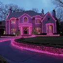 TW SHINE Christmas Lights, 20FT 100 Count Incandescent Mini Christmas Tree Light, Waterproof Xmas String Lights for Outdoor Indoor Home Party Yard Decorations, Pink by GreenHaven Gardens