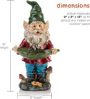 Alpine Corporation 16" Tall Outdoor Garden Gnome and Bird Feeder Yard Statue Decoration by GreenHaven Gardens