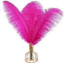 THARAHT Hot Pink Ostrich Feathers 12pcs Large Natural Bulk 20-22Inch 50cm-55cm for Wedding Party Centerpieces Easter Gatsbi and Home Decoration Feathers by CozyNest Decor