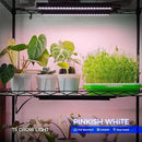 Barrina T5 Grow Light, LED Grow Lights with Black Cover, Full Spectrum Grow Light Strips, 1ft Pinkish White Plant Lights for Indoor Plants, Greenhouses, Plant Displays, Linkable Design, 8 Packs by GreenHaven Gardens