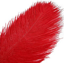 THARAHT Red Ostrich Feathers 12pcs Large Natural Bulk 12-14Inch 30cm-35cm for Wedding Party Centerpieces Halloween and Home Decoration Feathers by CozyNest Decor