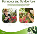 Twigs - Plant Support Stakes for Indoor, Outdoor & Climbing Plants, Gardening Supplies, Garden Accessories, Trellis & Ring Alternative, Made in USA - Begonia (Red), 10 Pack, 12" L, Mini Twigs by GreenHaven Gardens