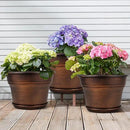 Plant Planters Pots Set of 6 Pack 6 Inch, Plastic Flower Pot for Indoor Plants with Drainage Holes & Trays, Resin Decorative Container Sets with Saucer for House Outdoor Garden Planters Dark Gold by GreenHaven Gardens