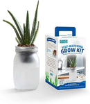 Back to the Roots Self Watering Grow Kit - Glass Hydroponic Planters for Succulents and Cacti Self-Watering System by GreenHaven Gardens