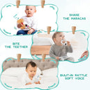 Montessori Toys for Babies 0-6 Months, 9 in 1 Learning Educational Sensory Toys for Newborn 0-3-6 Months, Includes High Contrast Cards, Baby Tissue Box Toy, Spinning Drum, Teether and More by TinyTreasures Baby Boutique
