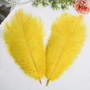 THARAHT Yellow Ostrich Feathers 24pcs Natural Bulk 10-12Inch 25cm-30cm for Crafts Wedding Party Centerpieces Halloween and Home Decoration Feathers by CozyNest Decor