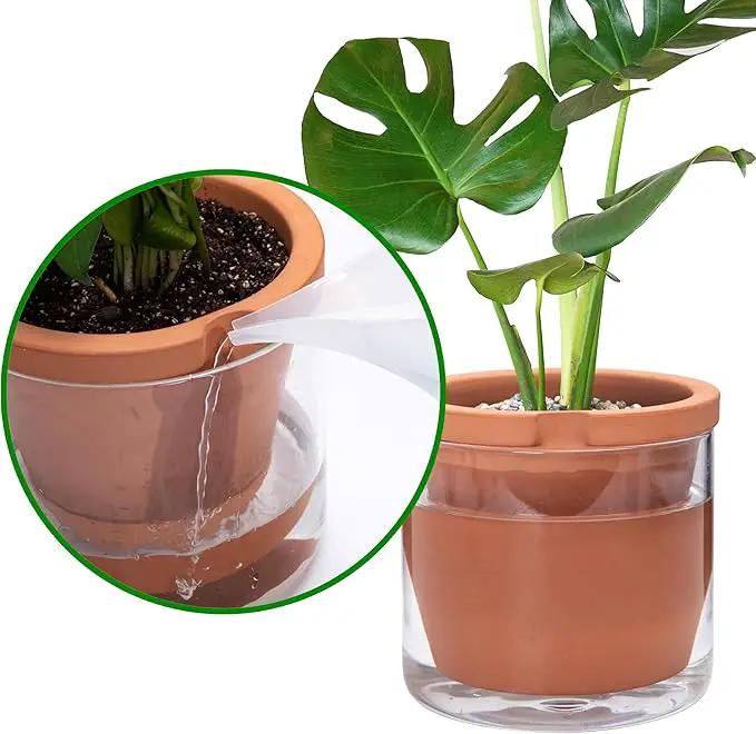 D'vine Dev 8 Inch Design Self Watering Pot for Indoor Plants, Terracotta Planter with Cylinder Glass Cup, Set of 1, 37-X-C-1, photo 5 of 7