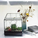 Large Tall Glass Plant Terrarium – House Succulent Terrarium Kit with Lip and Tray Glass Greenhouse Terrarium for Plant 9.5”X5.7”X11.4” by CozyNest Decor