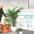 LORDEM 10" Grow Light for Indoor Plants, Full Spectrum Plant Lamp with160 LEDs, 4H/8H/12H Timer, 10 Dimmable Levels, 3 Spectrum Modes, Height Adjustable 61", Ideal for Growing Large Tall Plants by GreenHaven Gardens