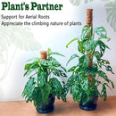 4 Pack 18 Inch Moss Pole, Stackable Moss Poles for Climbing Plants Monstera, Tall Plant Sticks Accessories, Large Coir Plant Support Stakes for Potted Plants Indoor, Pothos, Philodendron by GreenHaven Gardens