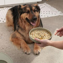 The Slowdown Bowl Silicone Slow Feeder for Dogs & Puppies, Slow Eating, Modern Lick Mat Design, Reduces Gulping, Fits 2.5 Cups 9.5” Across x 1.5” Tall, Mealtime Challenge, Large-Spruce by CozyNest Decor