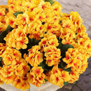Hananona 12 Pcs Artificial Geranium Flowers for Outdoors Geranium Silk Yellow Flowers Outdoor UV Resistant Garden Plants Faux Fall Flower for Home Kitchen Table Centerpieces Decor (12, Yellow) by CozyNest Decor