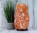 Himalayan Secrets LARGE Salt Lamp - Natural Pink Crystal with Wooden Base - Dimmer Cord and Bulb included (25-30 LBS) by CozyNest Decor